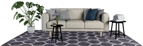 area rug cleaning